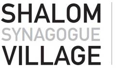Banner Image for Grown Up Fun, Shalom Synagogue Village NY Event